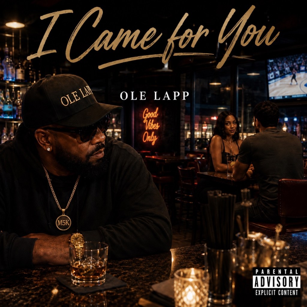 Ole Lapp — I Came for You cover art